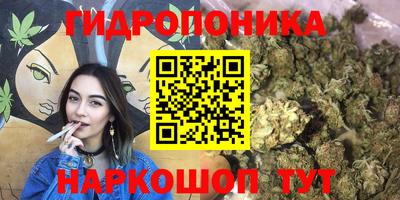 Альфа ПВП Берёзовский