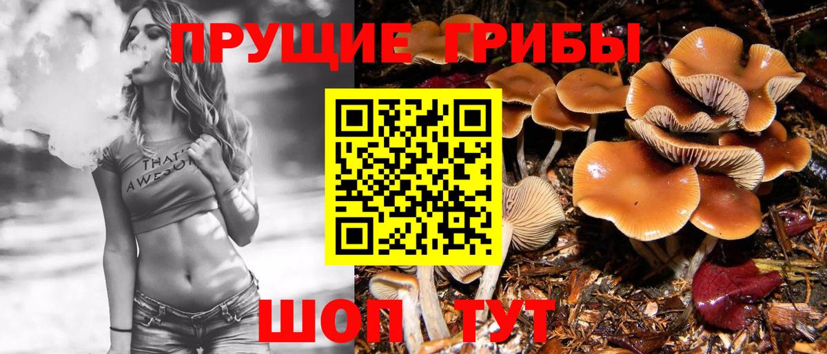 МАРИХУАНА Касимов