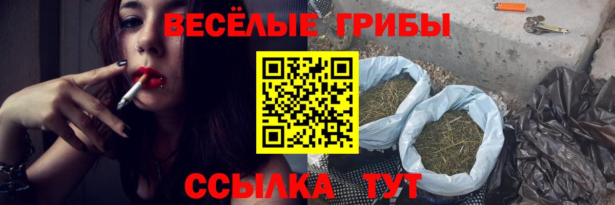 дарнет шоп  Галлюциногенные грибы MAGIC MUSHROOMS  Вход с VPN  Касимов 